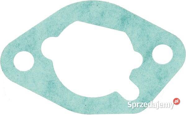 Uszczelka filtra powietrza 591013 Kamionna