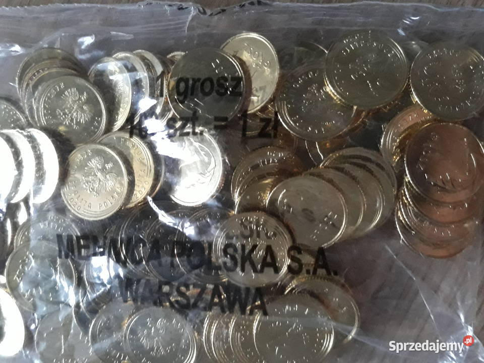 1 Grosz x 100 2020 rmenniczy woreczek Konin sprzedam
