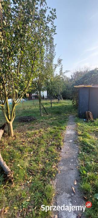 Ogódek działkowy ROD