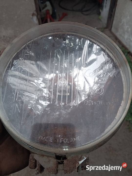 Halogen Zelmot oryginalny Rytel