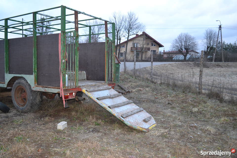Przyczepa do przewozu bydła Pozostałe Gołdap