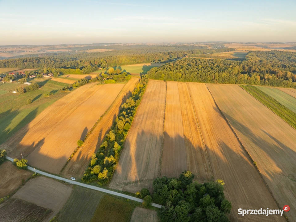 2 ha pozwolenie na 3 domy gm Skała Sprzedaż małopolskie