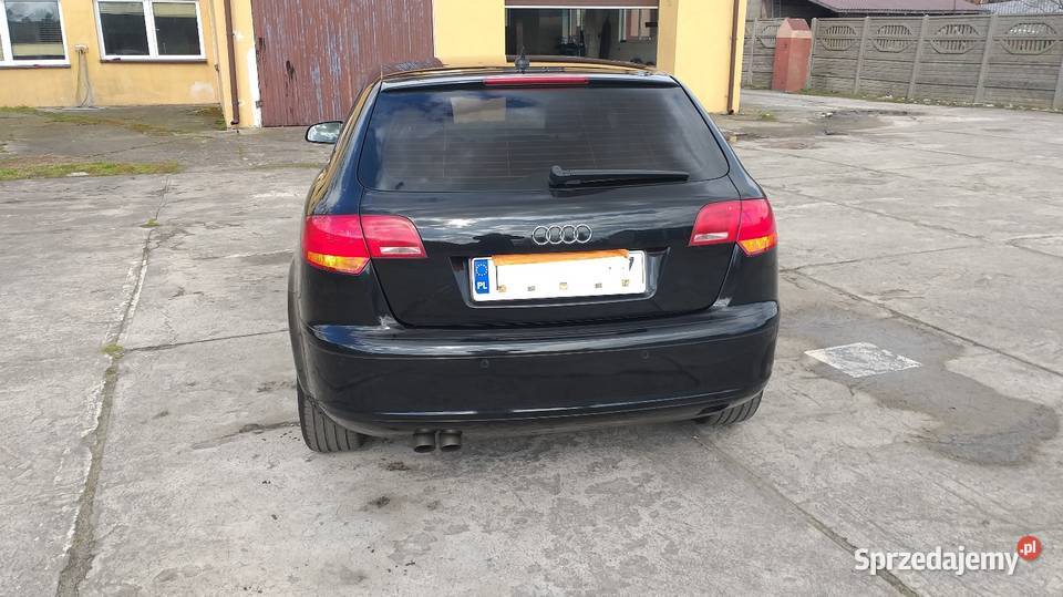 Audi A3 19 TDI A3 łódzkie Żychlin