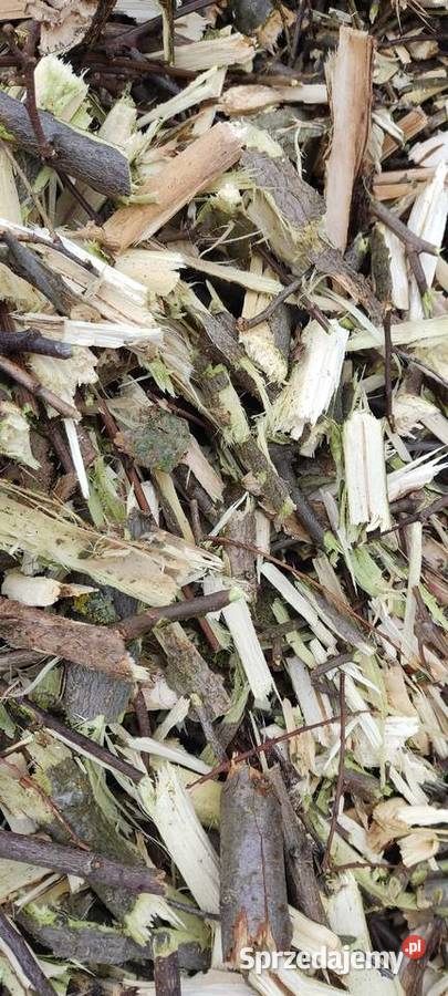 Zrębki akacjowośliwkowe Opał Chełm