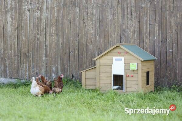 Automatyczne drzwi do kurnika 300x400 mm 70546 Kamionna