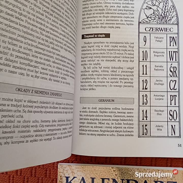 Poradnik uzdrawiacza Książki i Podręczniki Bukowno