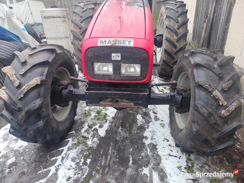 Massey Ferguson 4245 Maków Mazowiecki sprzedam
