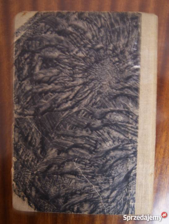 Ryszard Manugiewicz Wielki sztorm 1947 Rok wydania 1947 Parczew