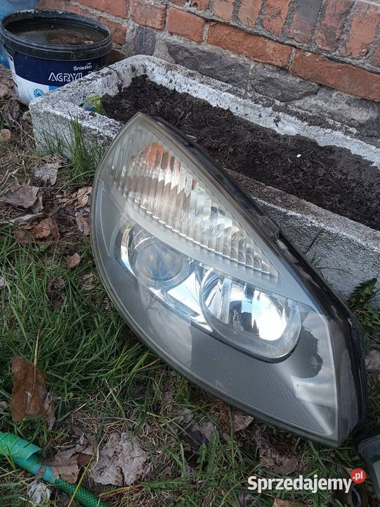 Lampy Scenic II Xenon całe kompletne eu Poniec sprzedam