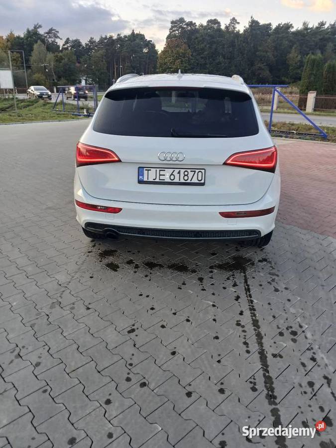 Audi Q5 Jędrzejów
