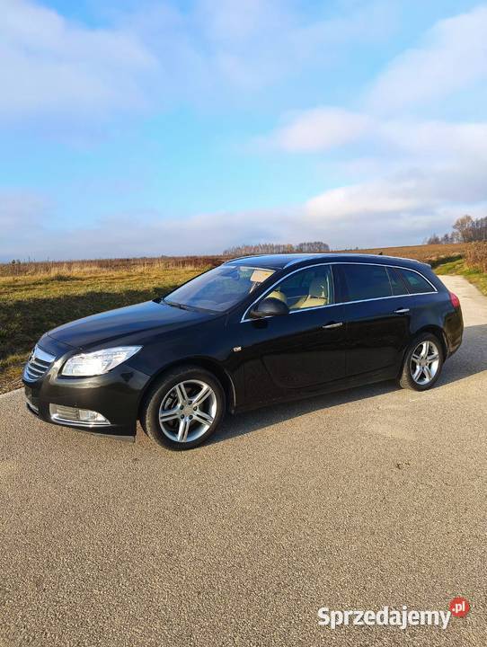 Opel Insignia Cosmo podkarpackie Żyraków