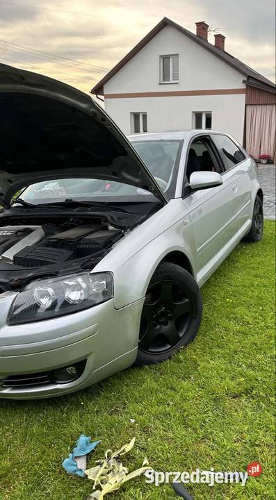 Audi a3 8p 19 tdi podkarpackie