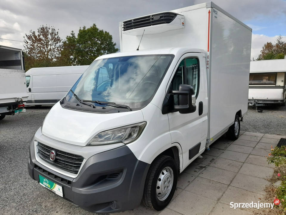 Fiat Ducato Chłodniomroźnia z hakami do mięsa Rok produkcji 2015 Lipiany