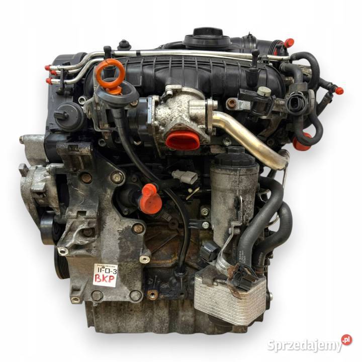 SILNIK BKP VW Passat B6 20 TDI 140 diesel Silniki kompletne lubelskie Chełm sprzedam