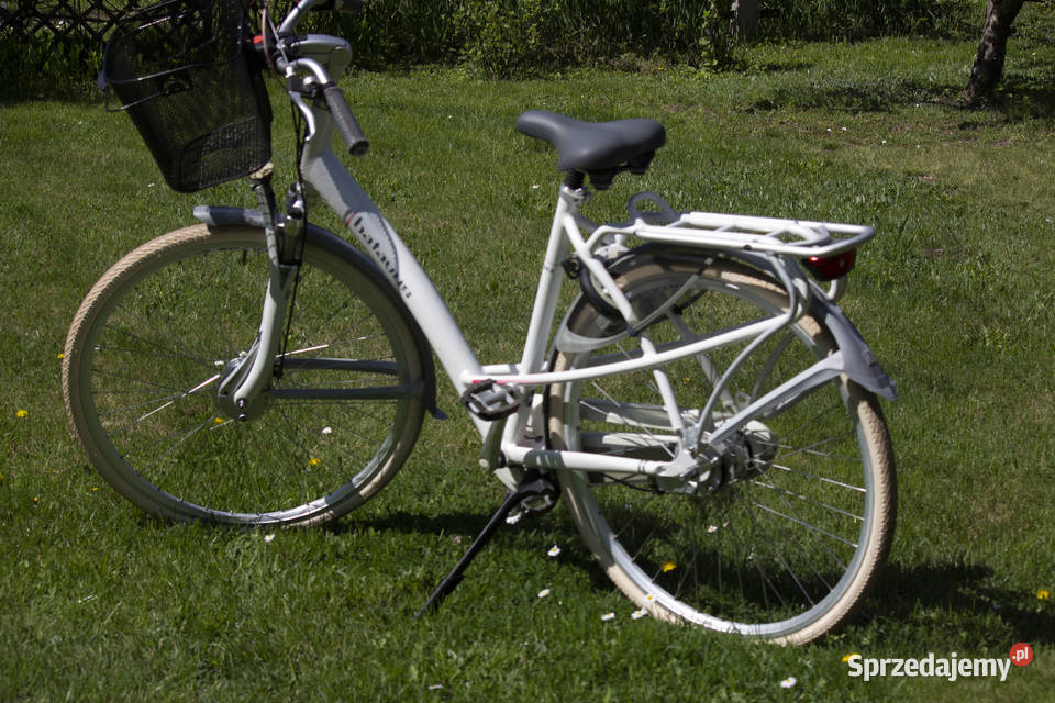 Rower Batavus Mamba Częstochowa