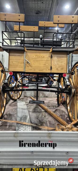 Bryczka konna Pozostałe Konin