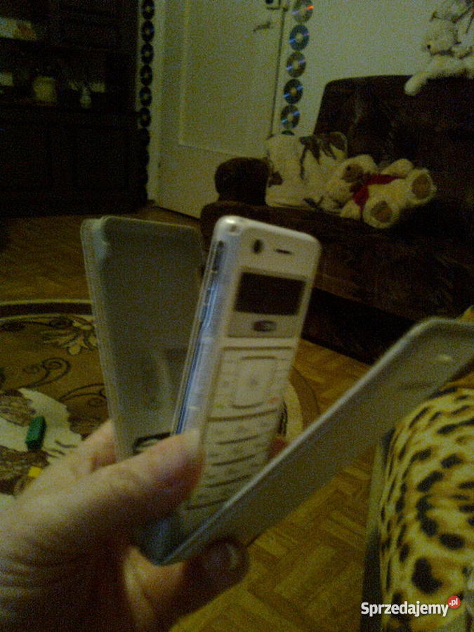 SAMSUNG F300