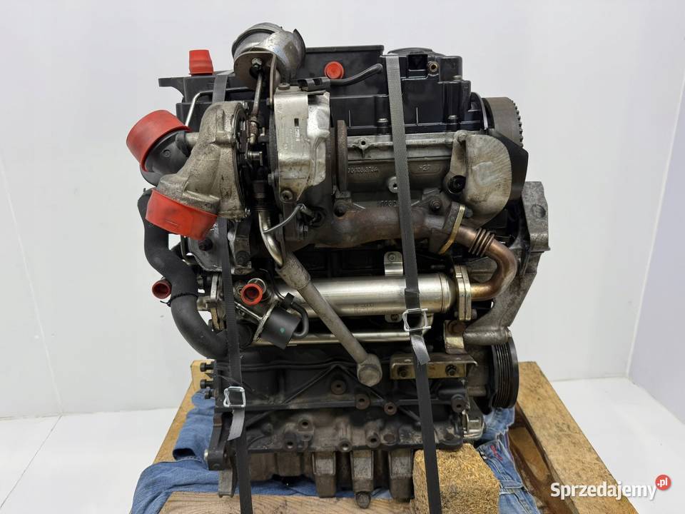 SILNIK Seat Altea Audi A3 II 8P Skoda Octavia II lubelskie Chełm