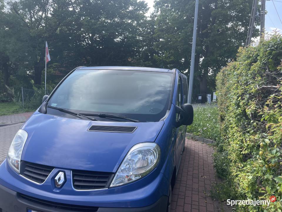 Renault Traffic 20 Diesel 9 osobowy 167 Rok produkcji 2008