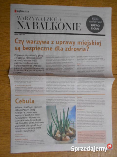Warzywa i zioła na balkonie 2 części Gazeta lubelskie Parczew