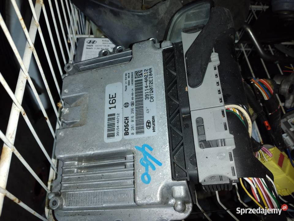 Hyundai H1 H300 i800 25crdi 170 D4CB 2010r łódzkie Złoczew