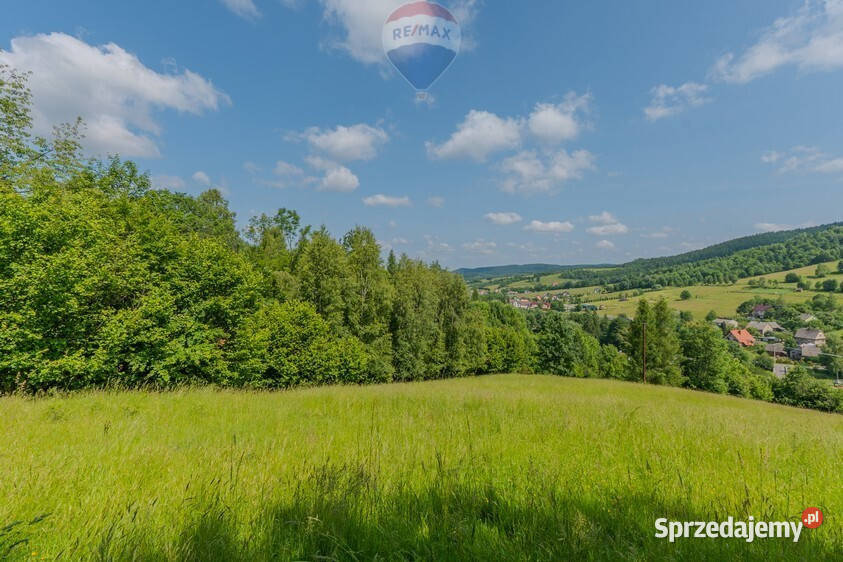 Działka leśna Rzyki 0m