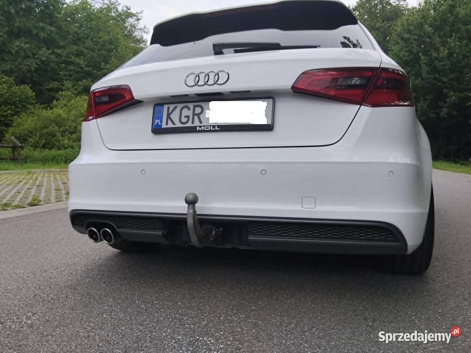 Audi a3 8v 20 TDI diesel Cieklin