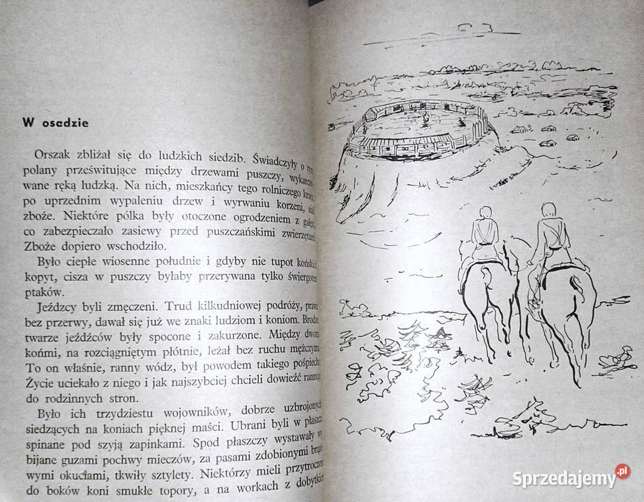 Przygody Janochy z Szelig Krzysztof Nowiński miękka Chełm sprzedam