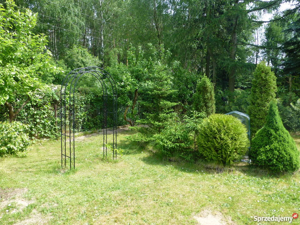 Sprzedam działkę ROD Otowo Lusowo Sierosław 12 prąd