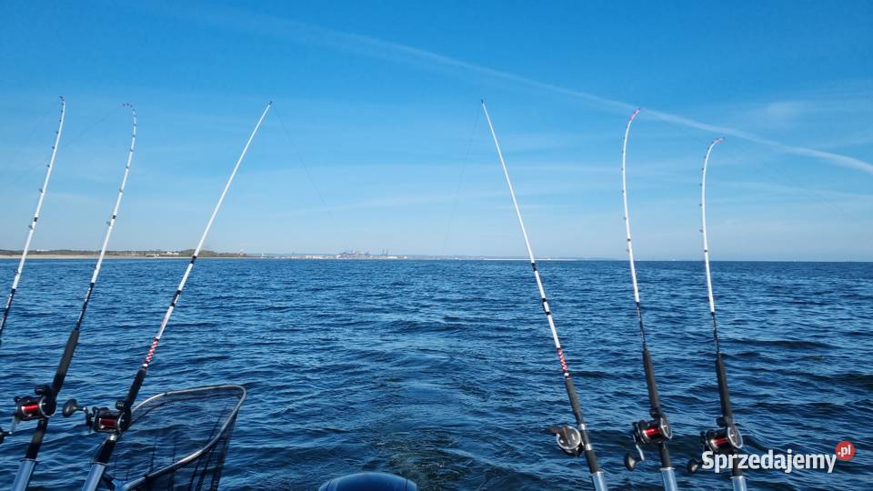 Quicksilver pilothouse 555 Jankowo Gdańskie sprzedam