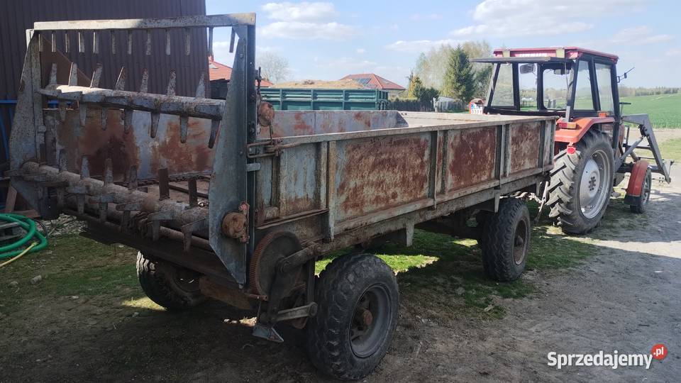 Rozrzutnik Obornika Czarna Białostocka lubelskie Piaski