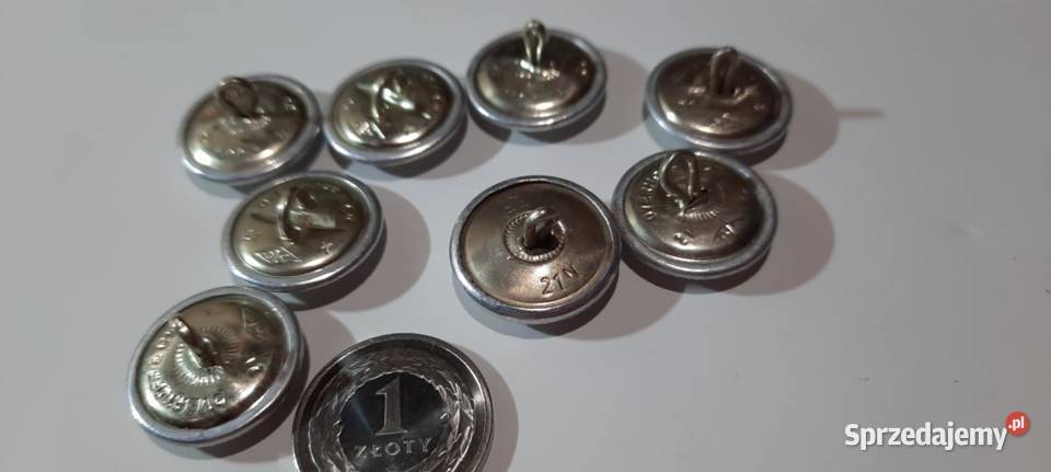 GUZIKI WOJSKOWE Niemcy groszek 8 sztuk mazowieckie Warszawa sprzedam