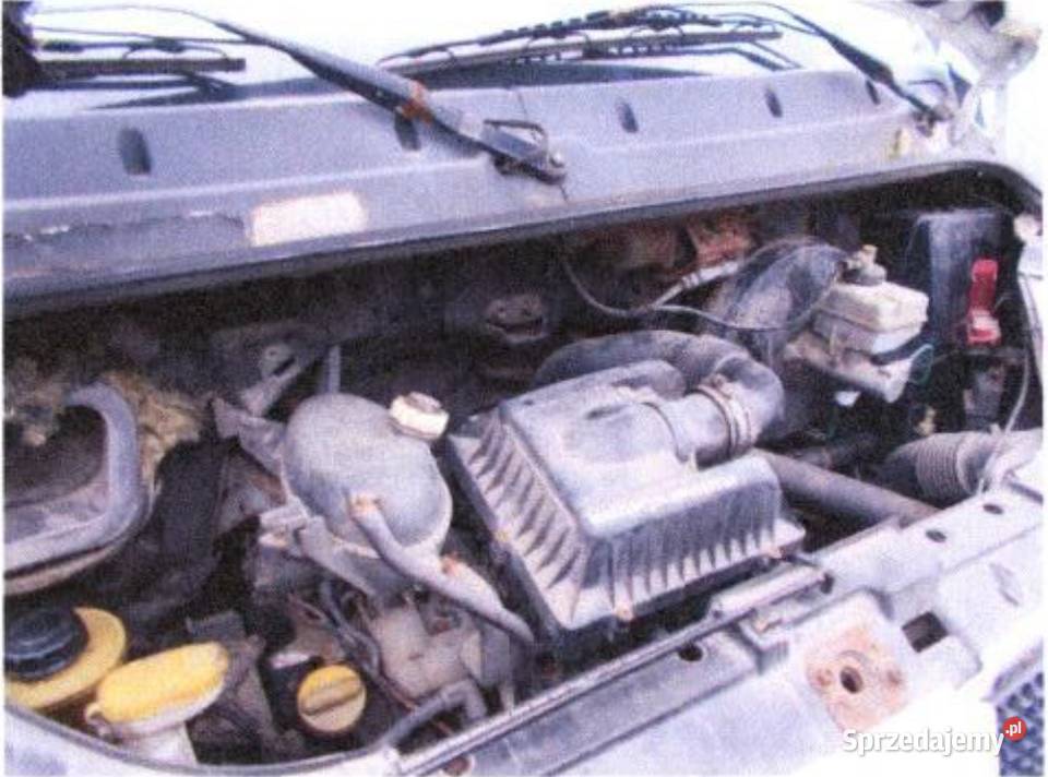 Syndyk sprzeda auto ciężarowe marki Renault Zamość