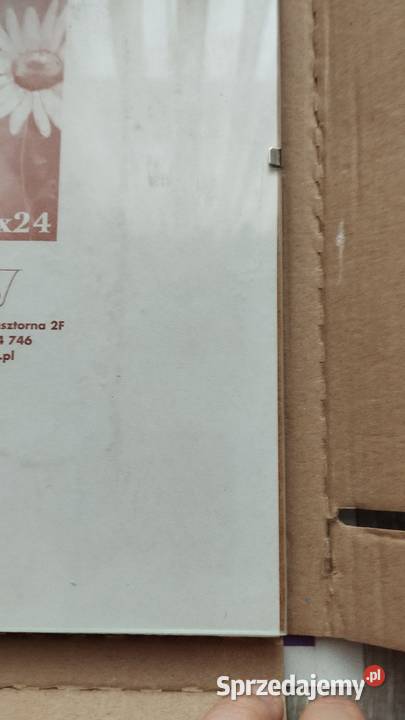 antyrama wielkopolskie Poznań