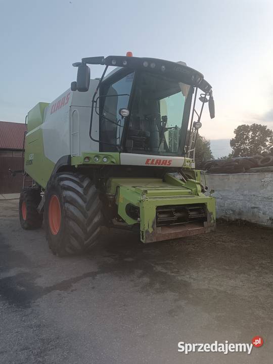 Claas Lexion 620 630 Koce-Schaby sprzedam