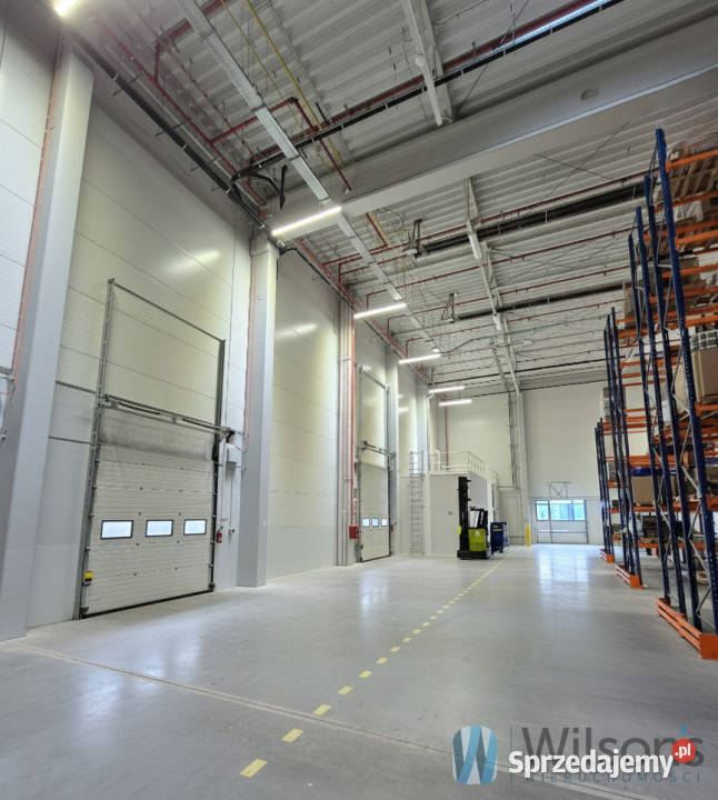 wynajmu lokalu Pruszków 1667m2 dojazd asfaltowy mazowieckie