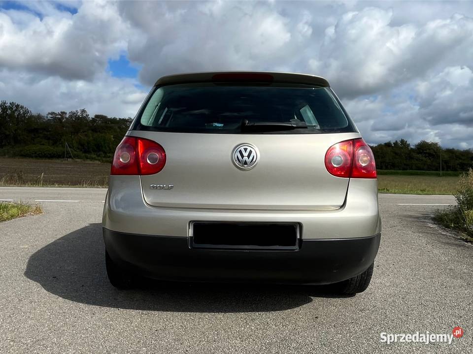 Volkswagen Golf 5 14 benzyna 2005 Niemodlin