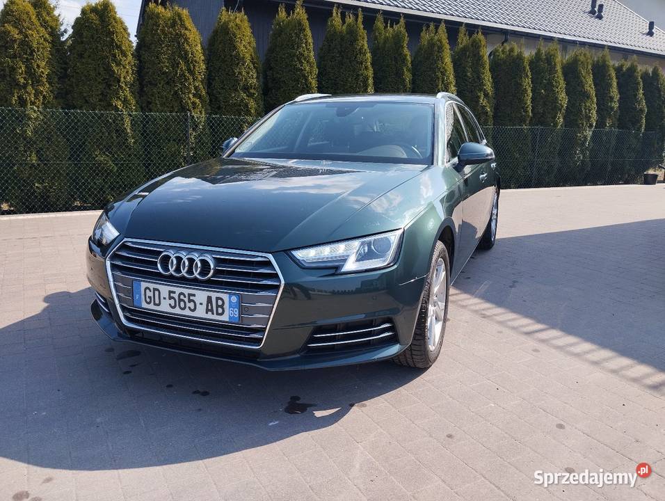 Audi A4 B9 20 TFSI ULTRA A4 Rzeczyca