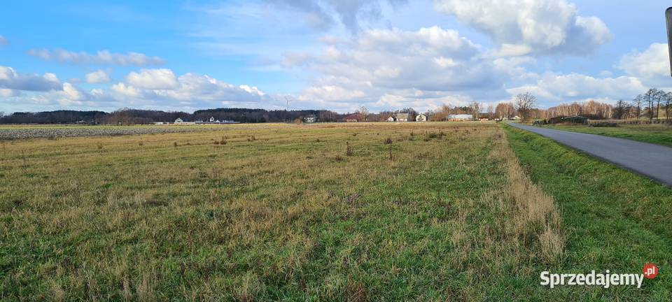 Opiesin działka z warunkami zabudowy 3499 m2 Sprzedaż