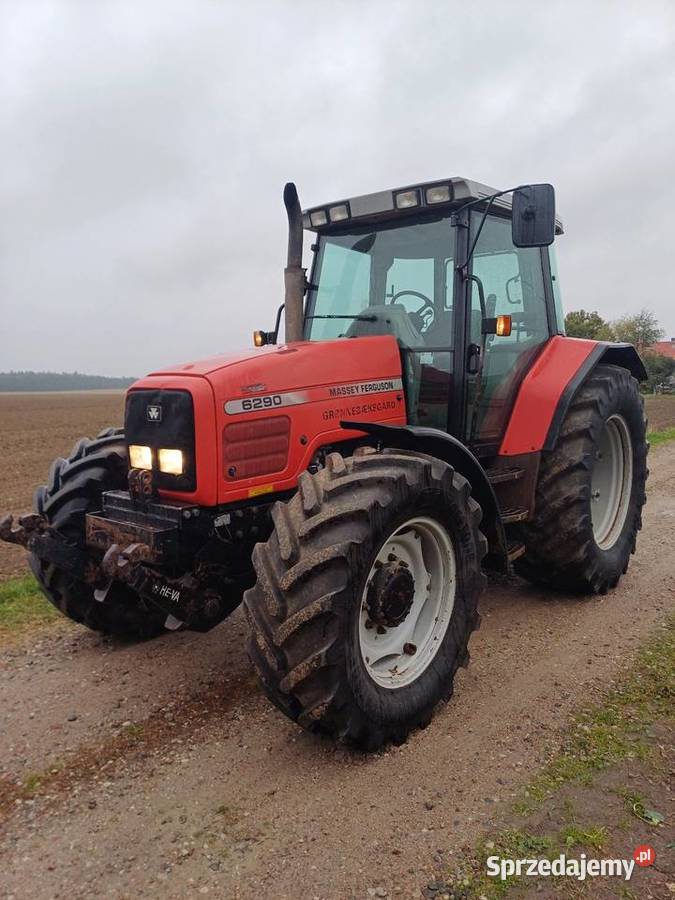Massey ferguson 6290 Płonne-Plebanka