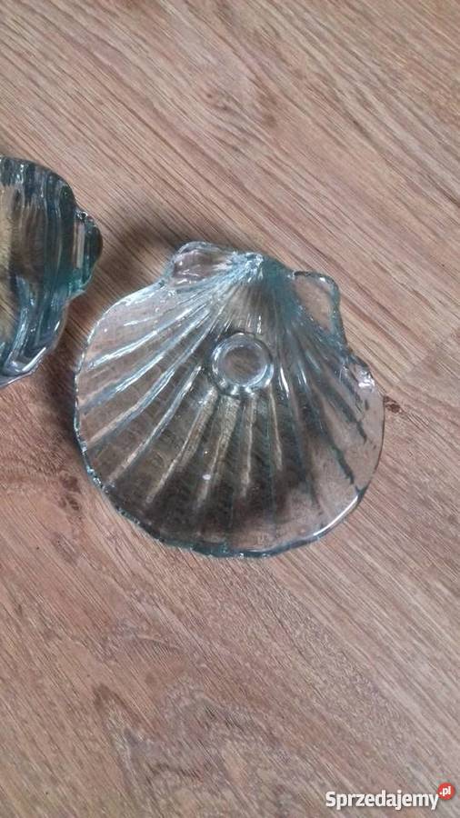 Muszle dekoracyjne Iława