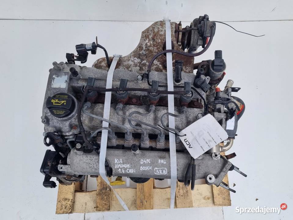 SILNIK KOMPLET Kia Rio III 14 CRDI 131 D4FC Chełm sprzedam