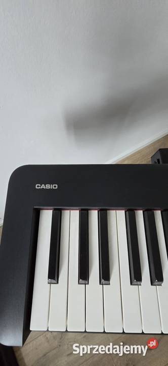 CASIO CDPS110 Casio Sochaczew