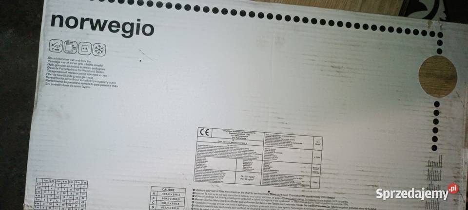 Płytki 60x30 śląskie