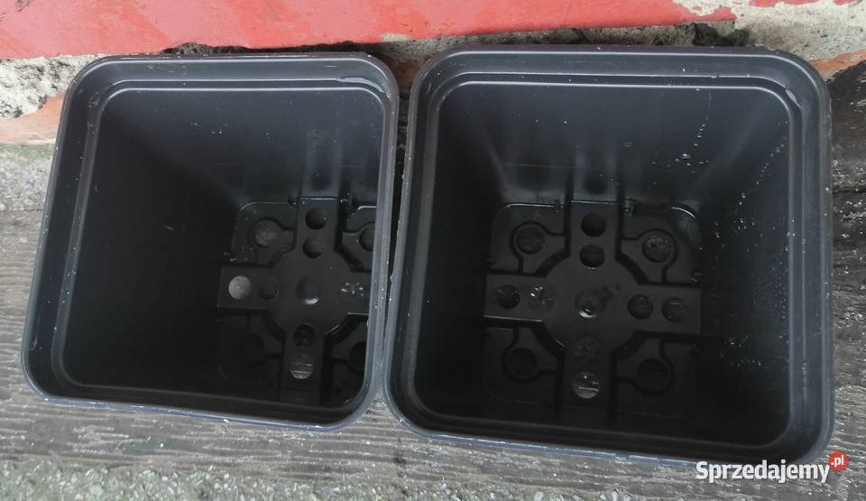 Doniczki produkcyjne P9 9x9x9 czarne kwadratowe śląskie Siewierz