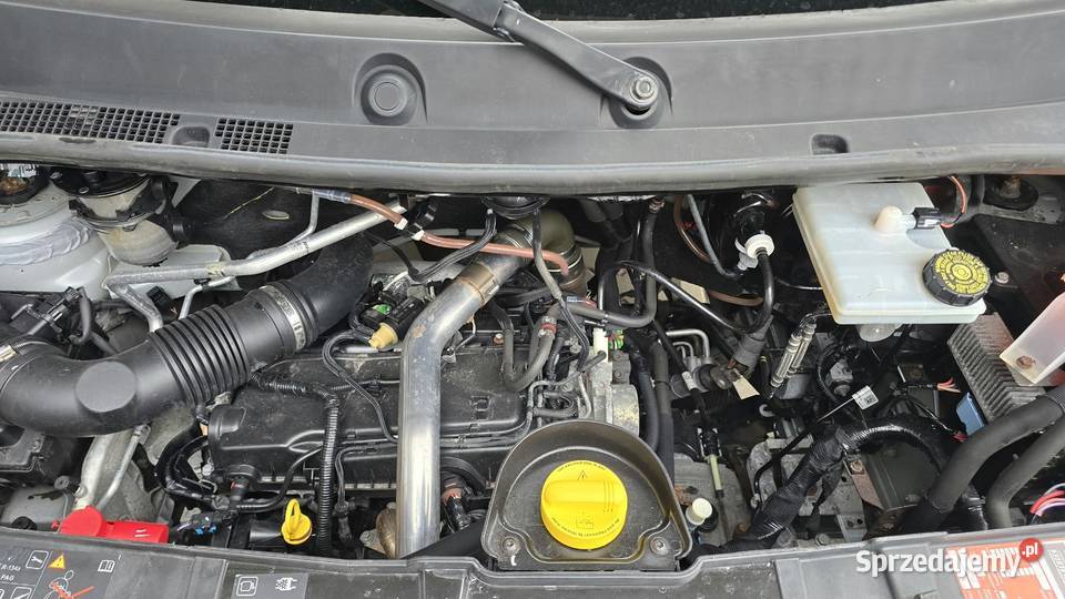 Nissan NV400 Rok produkcji 2016 opolskie Nowy Świętów