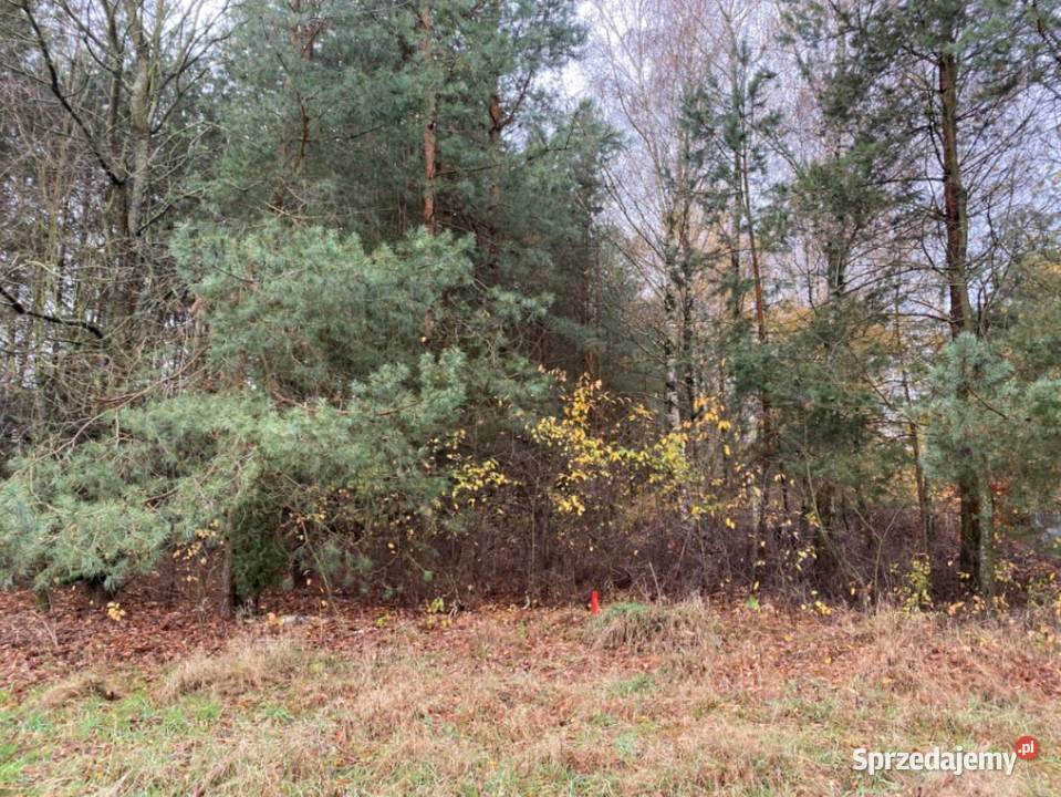Duża działka w rejonie Wiśniowej 55 m2 Ostrów 274m Ostrów Mazowiecka