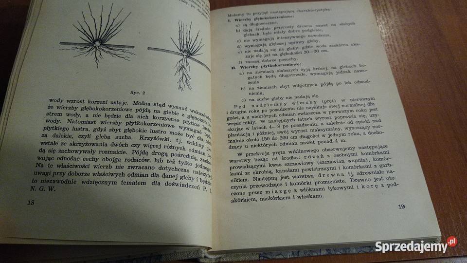 Wikliniarstwo Bolesław Kański Polska Wiklina