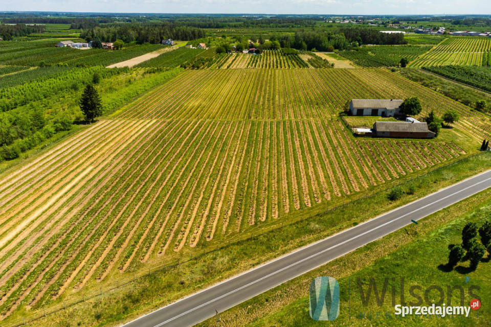 sprzedaży gruntu 56500m2 Józefów