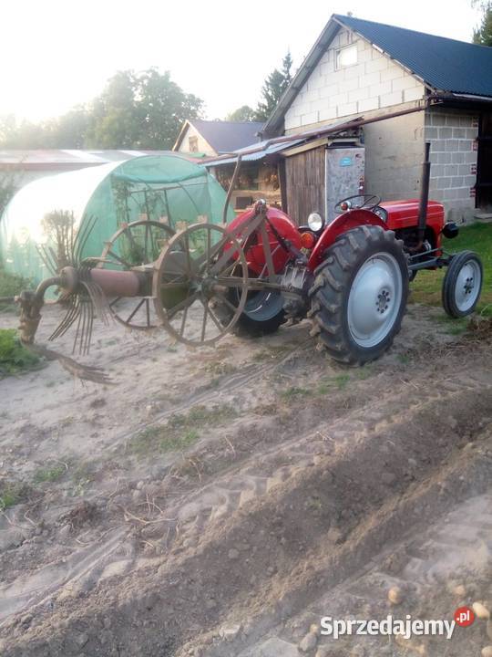 Traktor Fordson TEA20 Ferguson Wojsławice
